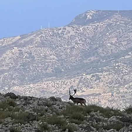 Mandra Chiusilla Collesano