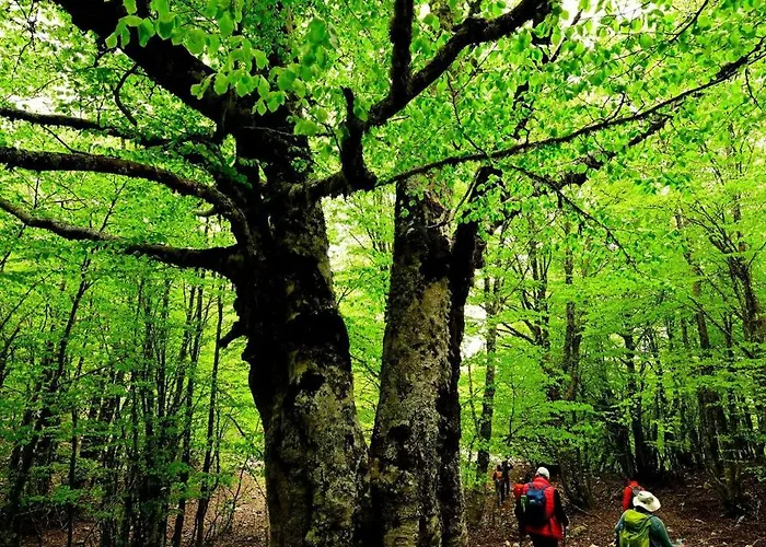 Bauernhof Mandra Chiusilla